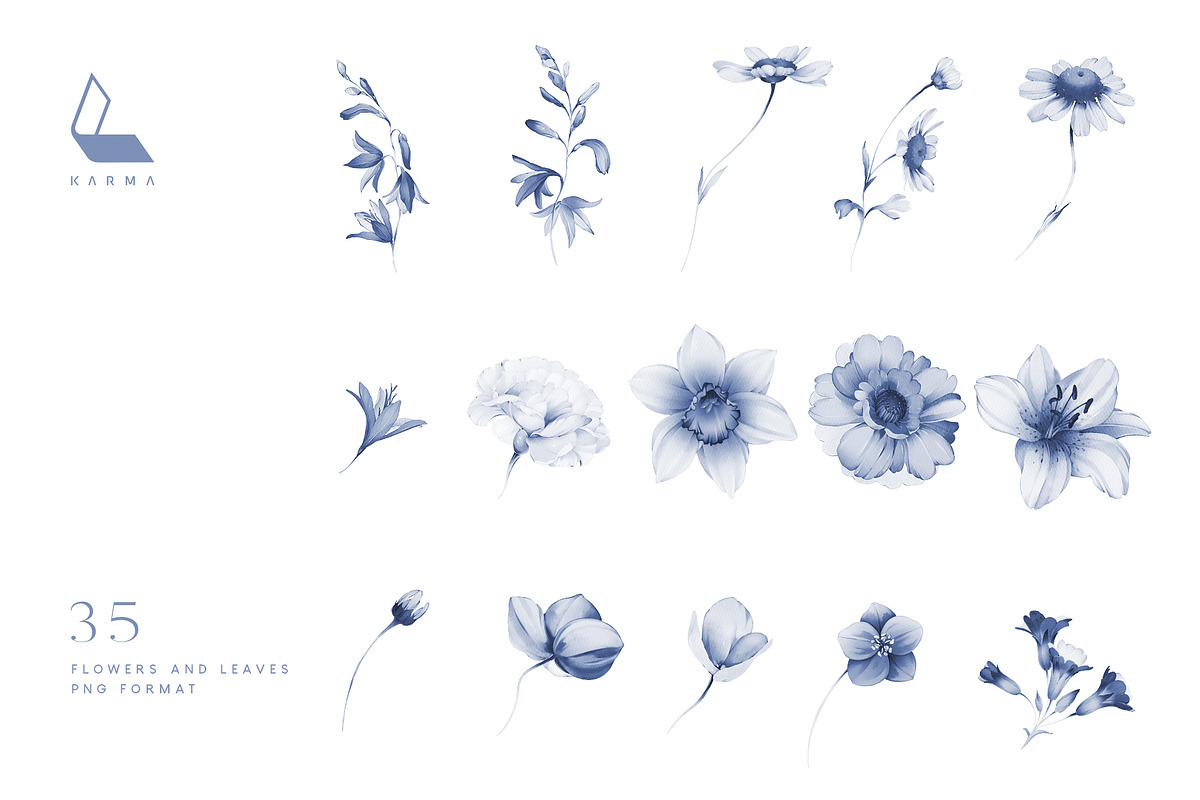 Gwinnett | Indigo | Botanical set, a Decorative Illustration by Karma (Photo 14 of 16)