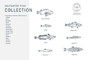 The Saltwater Fish Collection, an Animal Illustration by dicreate (Thumbnail 3 of 6)