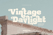 Vintage Daylight, a Symbol Font by Nathatype (Thumbnail 1 of 12)