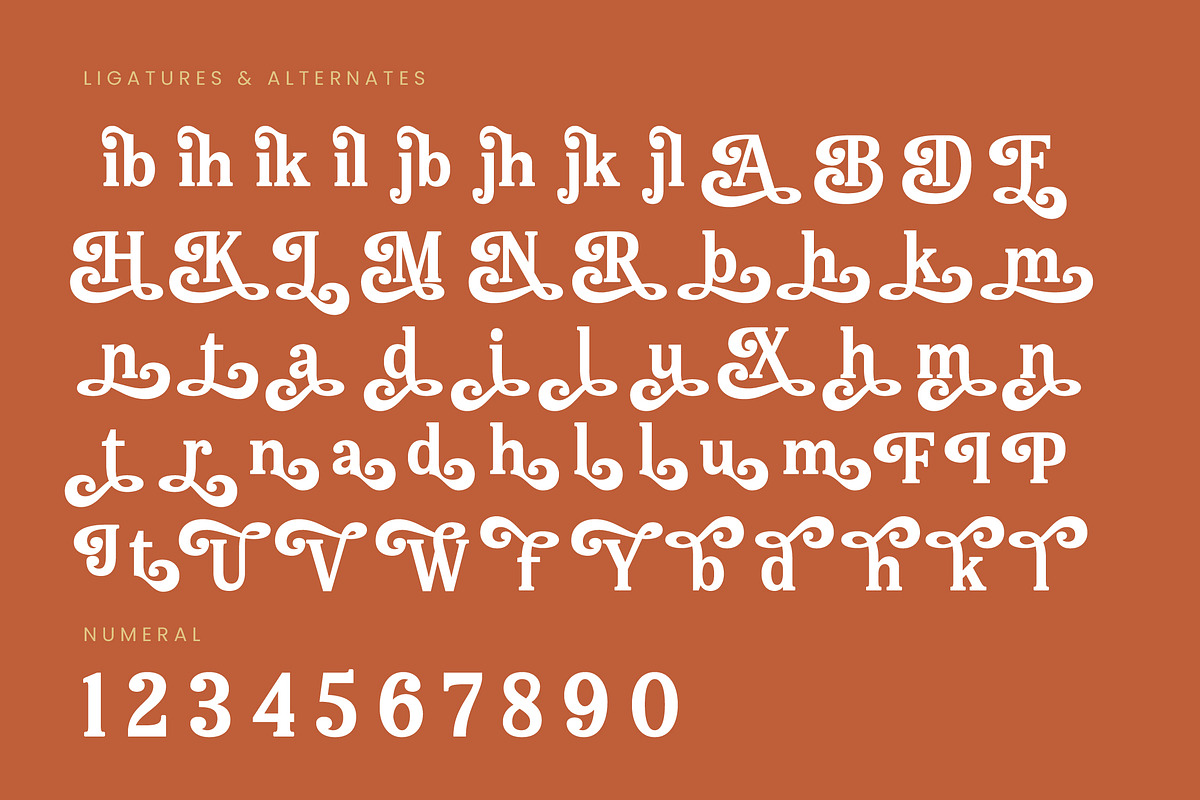 Bellati Nortils Groovy Serif Font, a Serif Font by timelesstype.co (Photo 19 of 20)