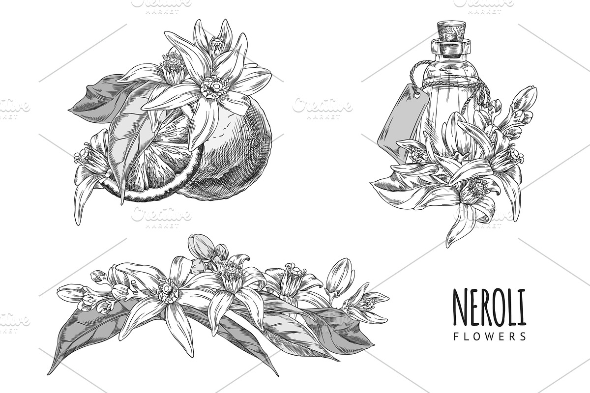 Poster illustration with a set of, an Object Illustration by Sabelskaya