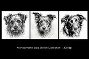 Monochrome Dog Sketch Collection, an Animal Illustration by StockVerse Creative (Thumbnail 1 of 4)