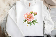 Watercolor Blush Peonies Flowers Cli, an Illustration by DreamCafeArt (Thumbnail 6 of 7)