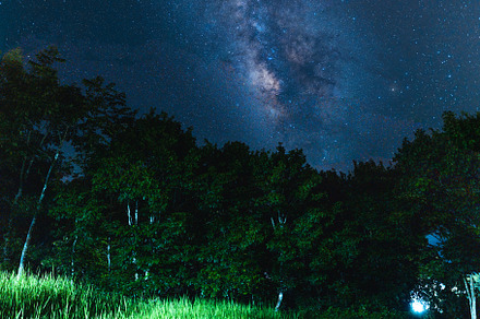 Night scene milky way background,Trees Against Sky At Night, a Nature Photo by Art Rachen