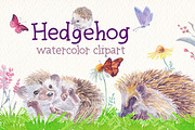 Hedgehog watercolor clipart, an Illustration by Art & Things (Thumbnail 2 of 7)