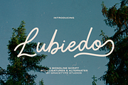 Lubiedo | Monoline Script, a Script Font by gracetype_studio (Thumbnail 1 of 12)