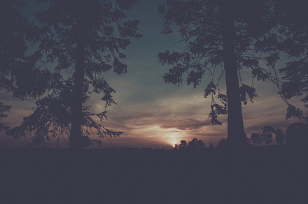 Vintage Australia Sunset