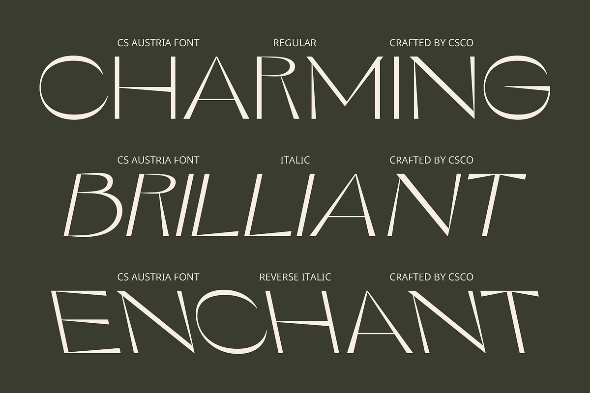 CS Austria – Elegant Font, a Sans Serif Font by Craft Supply Co. (Photo 4 of 8)