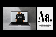 Altaries, a Serif Font by Gatype (Thumbnail 14 of 15)