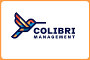 Geometric Outline Colibri Bird Logo, a Branding & Logo Template by Suhandi (Thumbnail 2 of 8)
