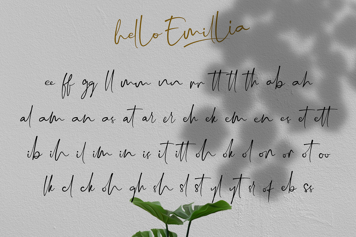 Hello Emillia Script, a Script Font by Rochart (Photo 11 of 12)