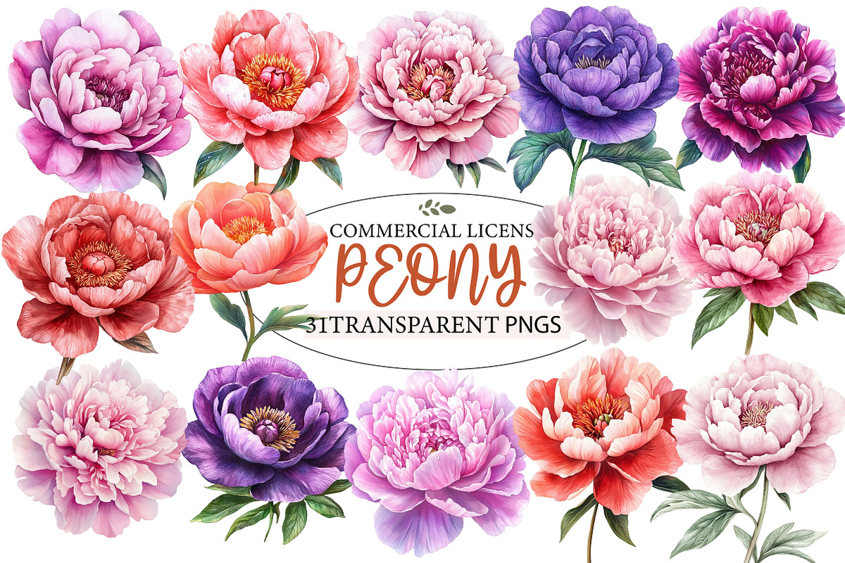PEONY flower Watercolor clipart, an Illustration by Designworld (Photo 1 of 5)