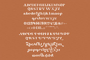 Ghrist - Intro Sale 40% Off, a Serif Font by Vultype Co. (Thumbnail 11 of 11)
