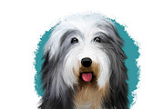Most Popular Dog Breeds Pet Portrait, an Animal Illustration by Dneprstock (Thumbnail 3 of 23)