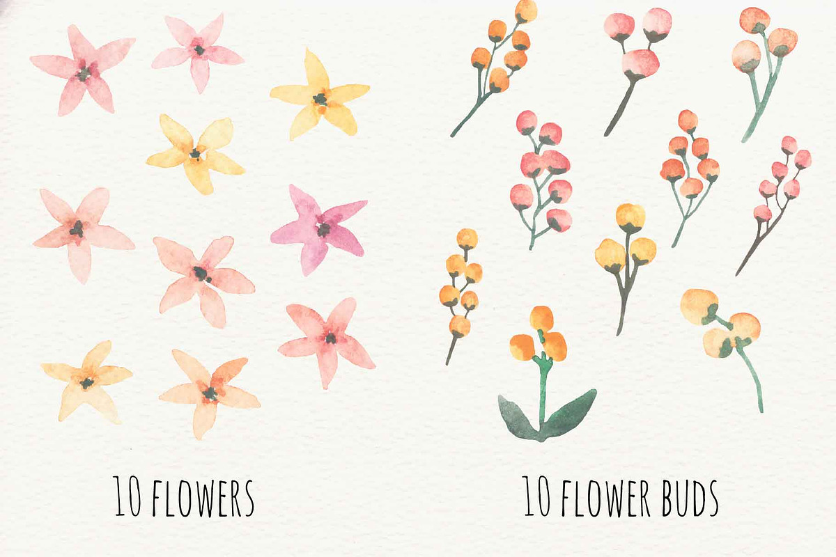Hand painted watercolour florals, a Texture Illustration by Desert Rose (Photo 6 of 9)