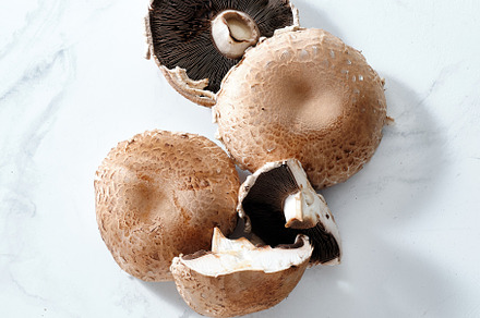 Cooking portabello mushrooms top view, a Food & Drink Photo by Asya Nurullina