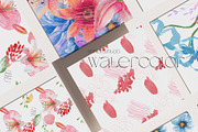 Meadow florals & abstract line art, an Illustration by January Bloom (Thumbnail 9 of 11)