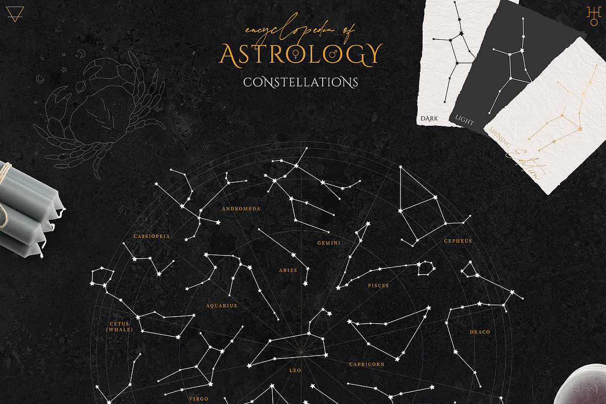 Encyclopedia of Astrology, an Animal Illustration by Julia Dreams (Photo 8 of 14)