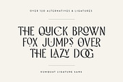Kumquat Ligature Sans, a Sans Serif Font by Rachel Kick (Thumbnail 10 of 14)