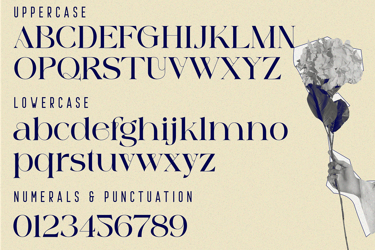 against font, a Serif Font by 177Studio (Photo 6 of 6)