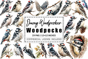 Downy Woodpecker Clipart,, a Graphic by CitraGraphics