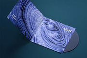 Vinyl Mock-up, a Product Mockup by zippypixelstudio (Thumbnail 8 of 8)