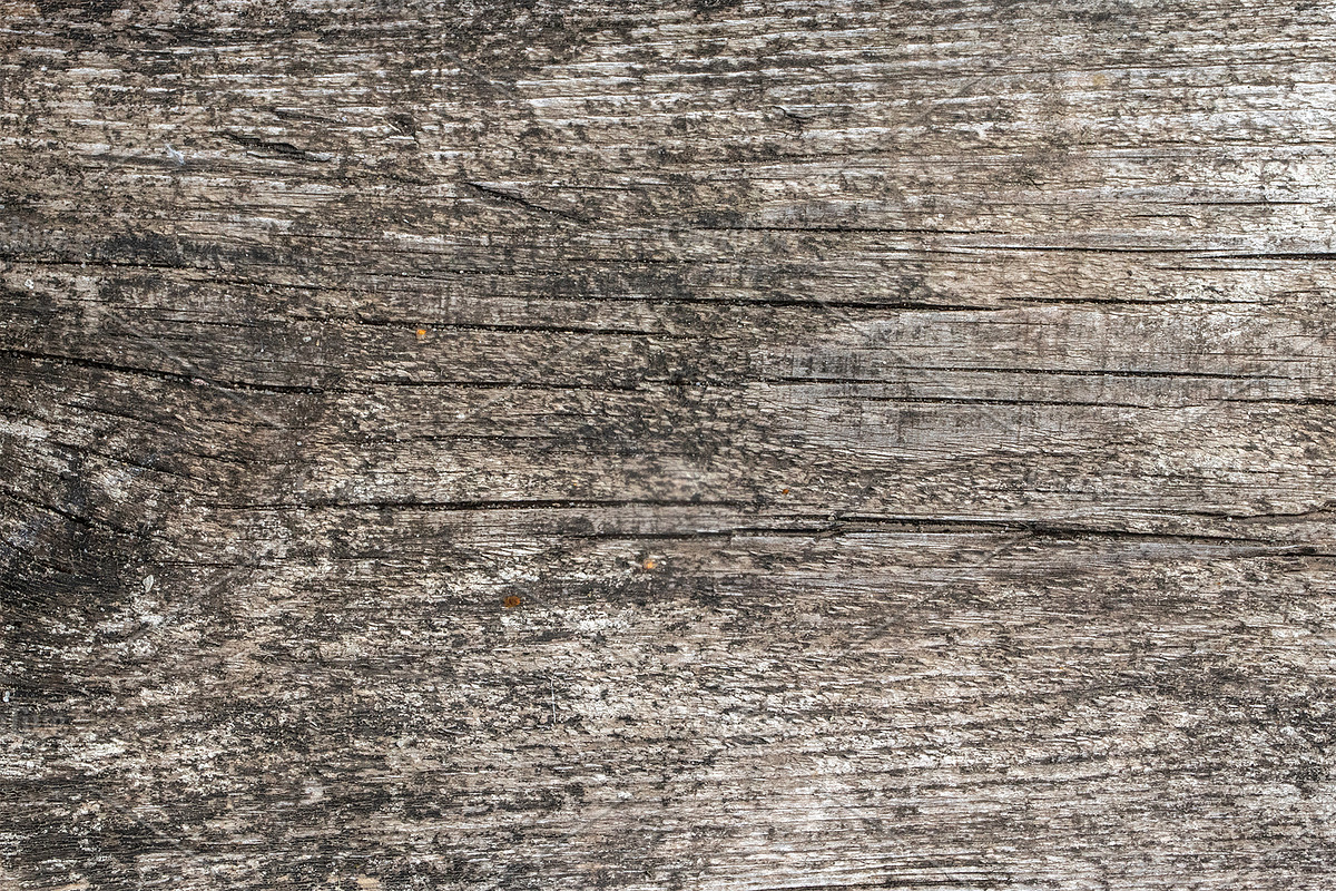 Natural wood texture patterns, a Background Photo by Schreibikus (Photo 5 of 8)