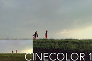 CINECOLOR SET OF PHOTOSHOP ACTIONS preview 3