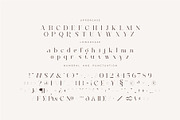 Roilra - Serif Ligature Font, a Serif Font by suhadidesign (Thumbnail 13 of 13)