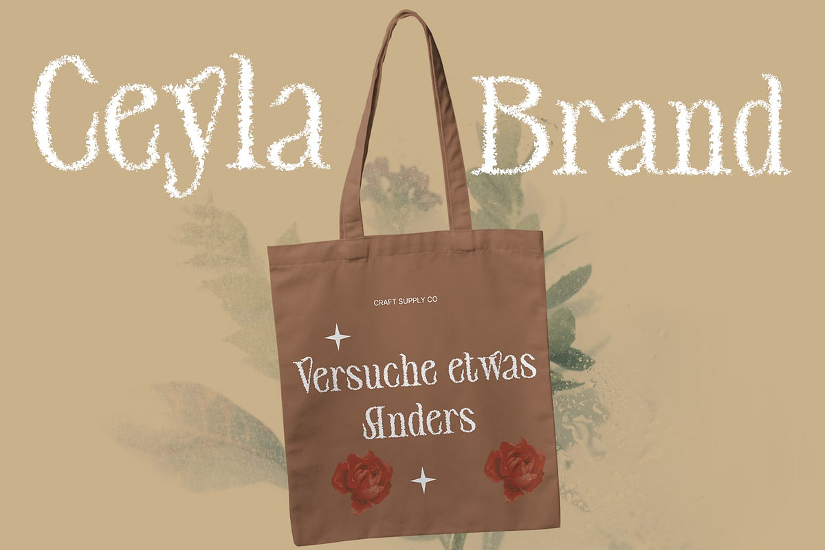 Ceyla Unfocus, a Serif Font by Craft Supply Co. (Photo 4 of 8)
