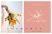 Elegant Botanical Set, an Illustration by TL Design (Thumbnail 11 of 18)