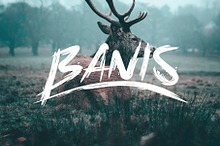 Banis Bush Font