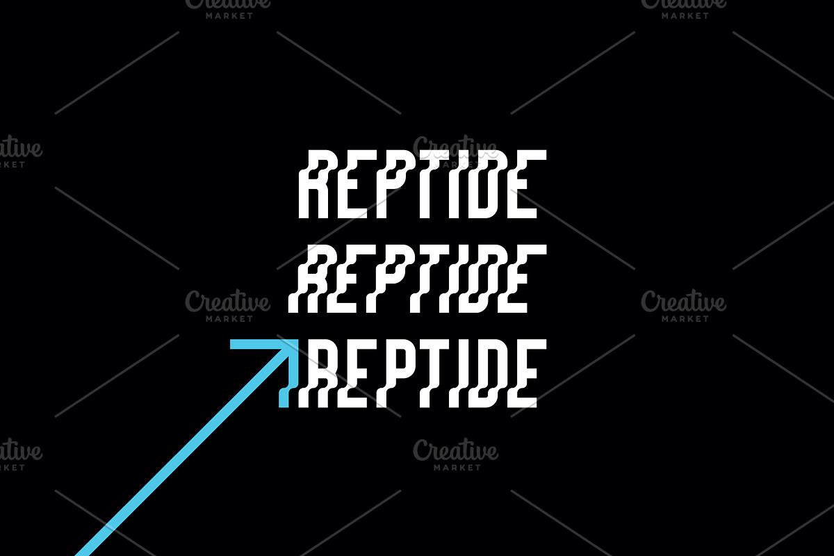 REPTIDE Family Font preview 6