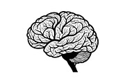 Brain Tree Knowledge Design Bundle, an Illustration by Gaye Art (Thumbnail 15 of 31)