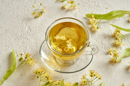 A cup of herbal tea with fresh linden flowers, a Food & Drink Photo by Madeleine Steinbach