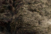 Collection of 38 fur pillows, an Object 3D Model by 3dmitruk (Thumbnail 38 of 112)