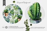 Cacti & Succulents, a Decorative Illustration by Anna Myslivets Art (Thumbnail 2 of 9)