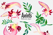 Clip art: Axolotl watercolor, an Animal Illustration by SandraGraphicDesign (Thumbnail 6 of 6)