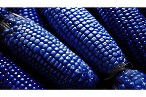 cooking blue corn ai generated, a Food & Drink Photo by pikepicture