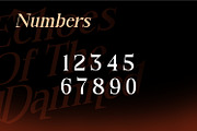 Bonemerch - Modern Gothic Serif Font, a Serif Font by Rishsketch (Thumbnail 11 of 13)