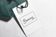 Angilla Denis - Brush Script Font, a Script Font by StringLabs (Thumbnail 6 of 13)