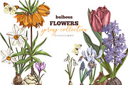 Hand drawn botanical bundle, an Illustration by handsketched (Thumbnail 14 of 24)