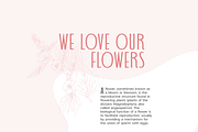 Wedding Font Pairing, a Sans Serif Font by Headfonts (Thumbnail 6 of 8)