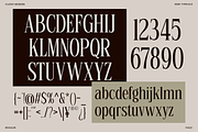 Luxury Ligature Serif Font - Linneva, a Serif Font by Say Studio (Thumbnail 9 of 10)