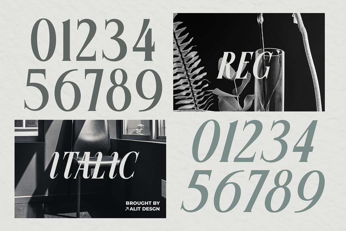 Mesuho Font, a Serif Font by alit design (Photo 4 of 17)