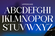 Domilla, a Serif Font by zaaintype (Thumbnail 7 of 12)
