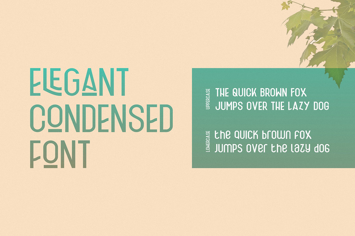 Fischel Elegant Condensed Family, a Sans Serif Font by 160 Studio (Photo 4 of 16)