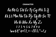 Wakeling Brush Font, a Script Font by Giant Design (Thumbnail 10 of 10)