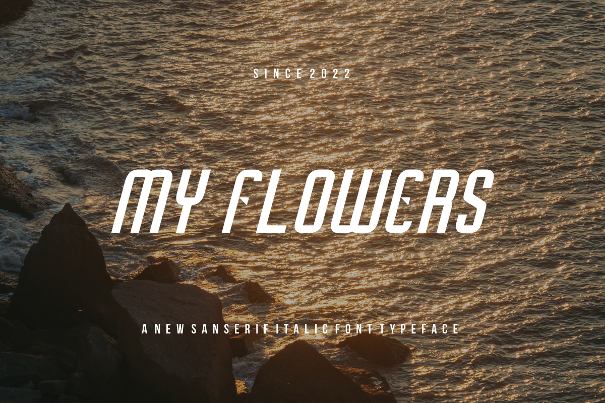 MarwintoItalic, a Font by puji_hartono (Photo 2 of 5)