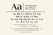 Callmira - Corporate Elegant Font, a Serif Font by roomspace creative lab (Thumbnail 10 of 11)